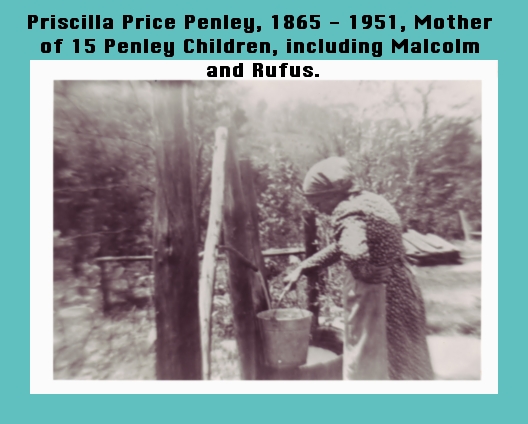 PriscillaPrice Penley